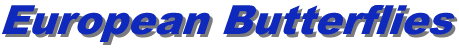 bannerE.gif (4705 Byte)