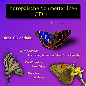 CD 1